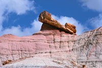 Pedestal Log, tronc piédestal, Petrified Forest National Park Arizona