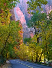 Zion Canyon, Zion National Park Utah